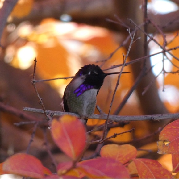 Meet your Posher, Ane - Picture 14 of 16